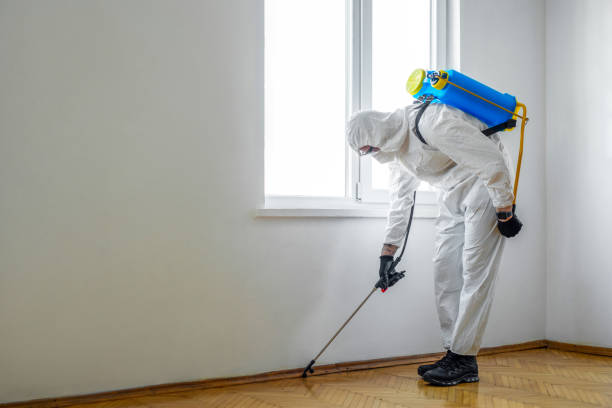 Best Fumigation Services  in Goshen, IN